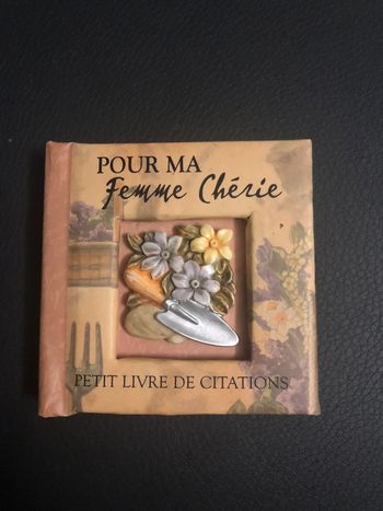 Petit livre de citations pour la St valentin NEUF