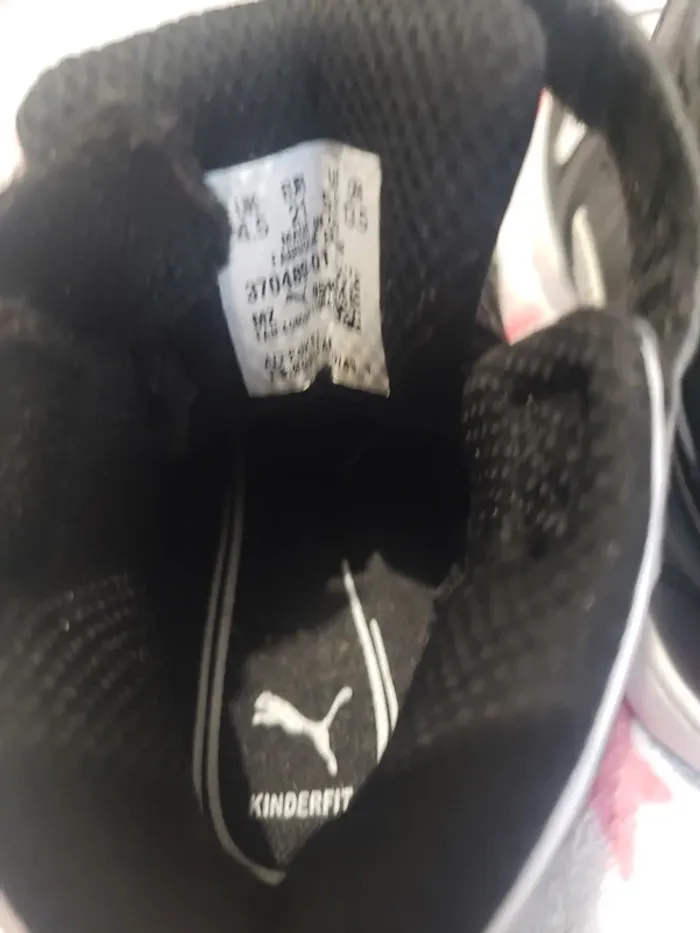 Basket - photo numéro 6