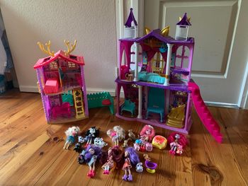Grand lot Enchantimals