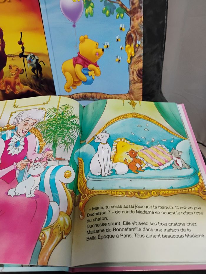 📚  Lot de livres Disney – Très bon état - photo numéro 3