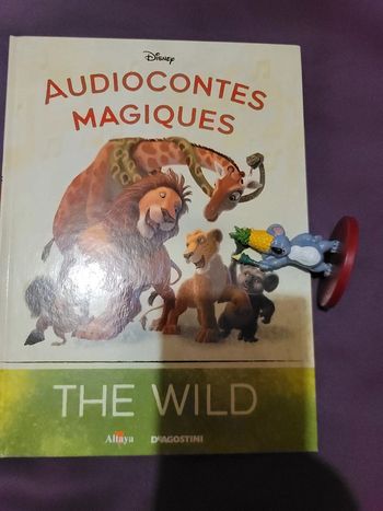 Audio conte thé wild