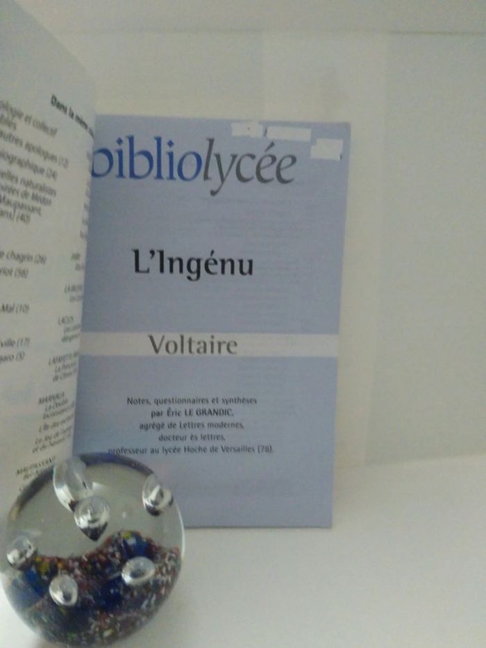 l'Ingénu - photo numéro 3