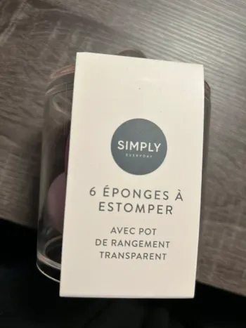 Boîte 6 éponges à estomper