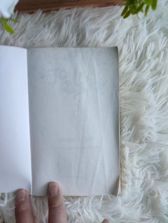 Journal d' une peste - photo numéro 4