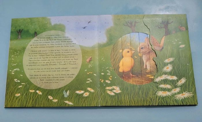 Superbe livre animé de fenêtres magiques, Il pleut petit canard.. Quatre fleuve - photo numéro 7