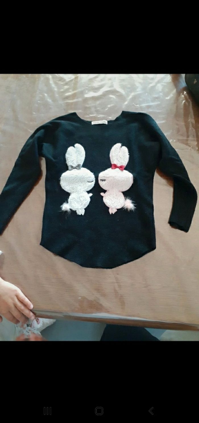 Pull lapin