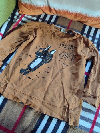 Tee shirt ml Zara 2 3 ans