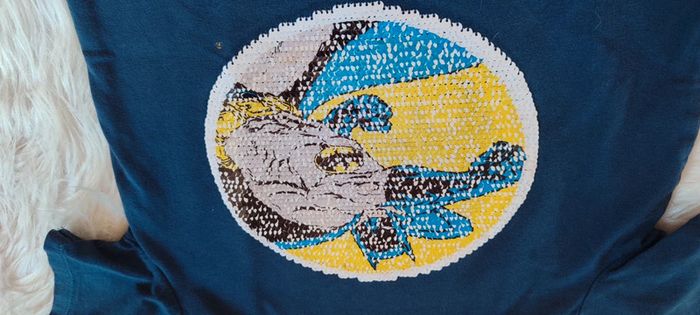 Lot 3 tee shirt sequins été garçon 8 ans - photo numéro 4