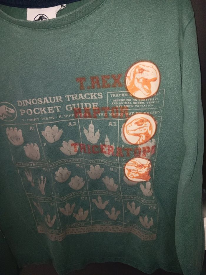 Sweat-shirt vert enfant 10 ans "T-Rex Dinosaure" manches longues - photo numéro 3
