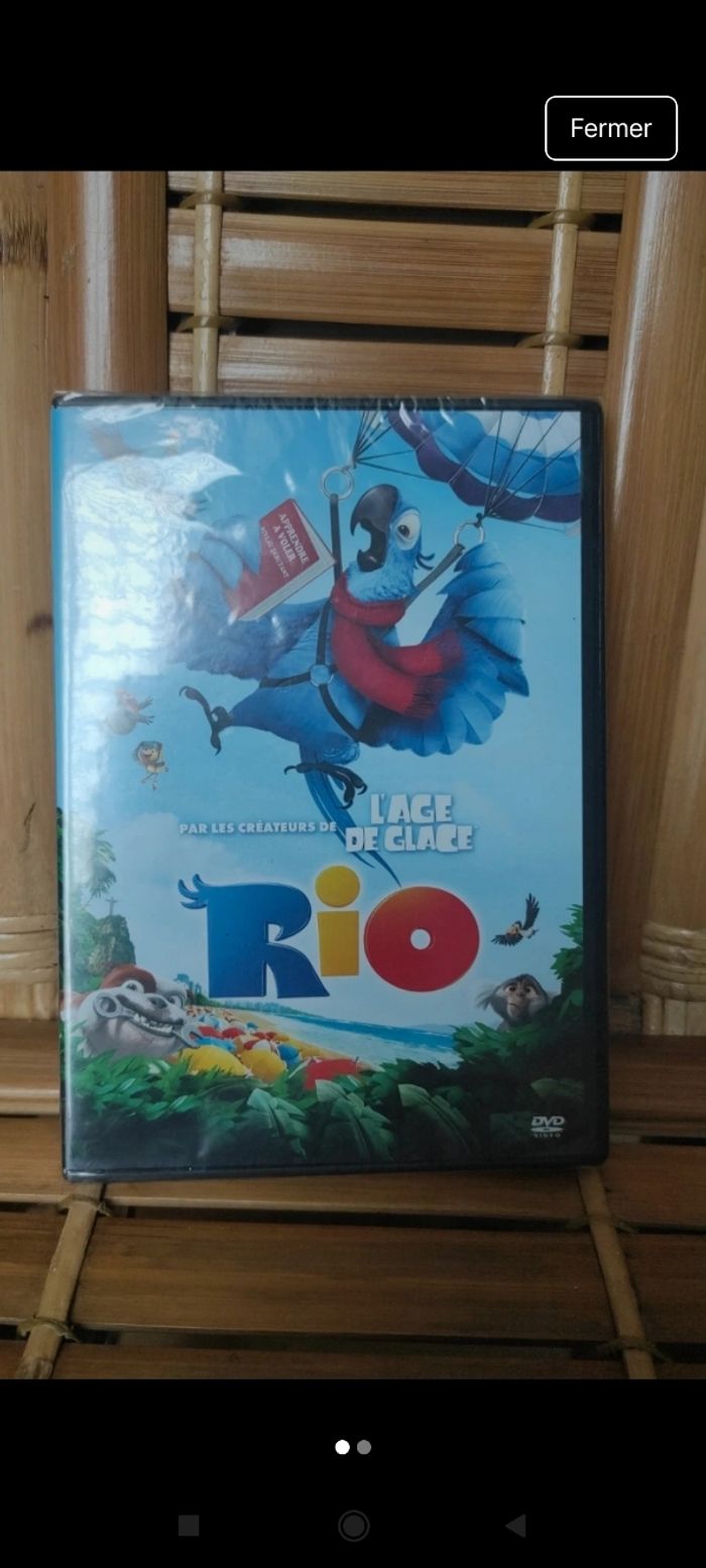 DVD rio