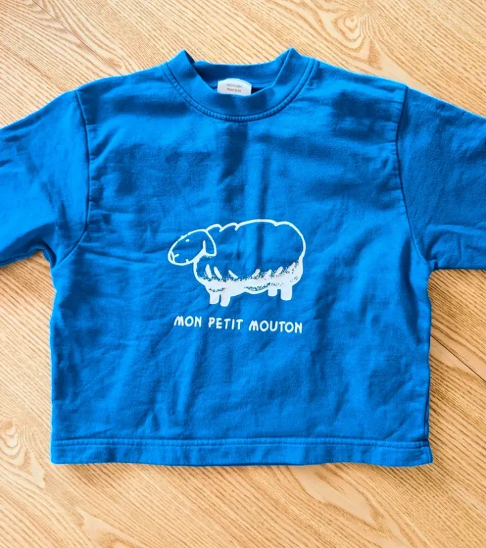 Sweat enfant 3/4 ans - photo numéro 2