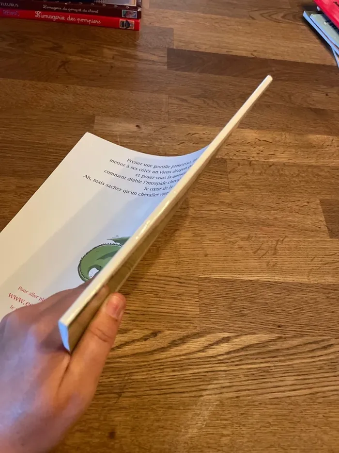 Livre L’école des Max Le prince le dragon et le chevalier intrépide - photo numéro 2