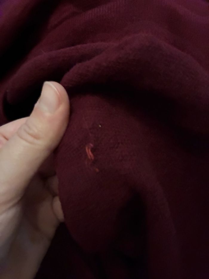 Pull Lacoste - photo numéro 5