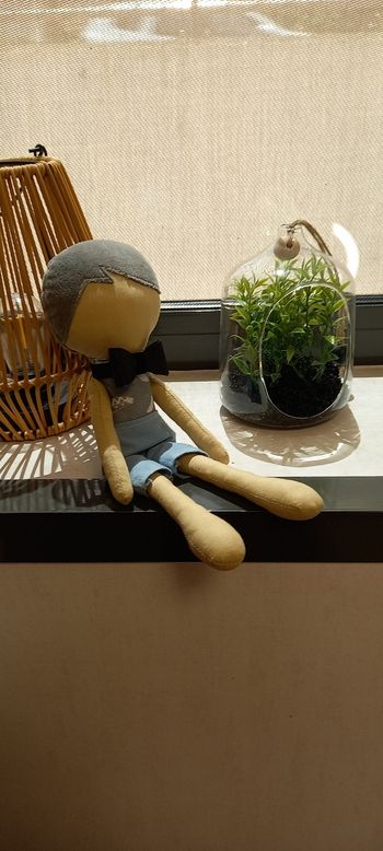 Doudou Bio  Garçon – Crée et Dessine Tes Émotions - Poupée Éducative