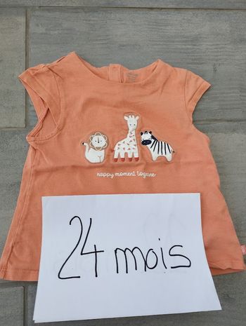 Lot N° 550 T-shirt bébé fille 24 mois Obaïbi