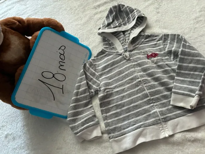 Veste marin - photo numéro 2
