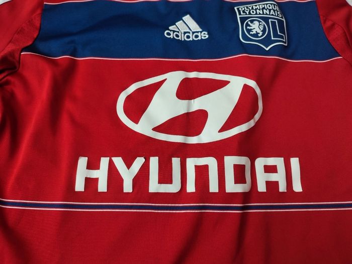Ensemble olympique lyonnais 2013-2014 - photo numéro 4
