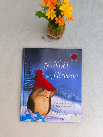 Livre Le Noël du Hérisson Milan