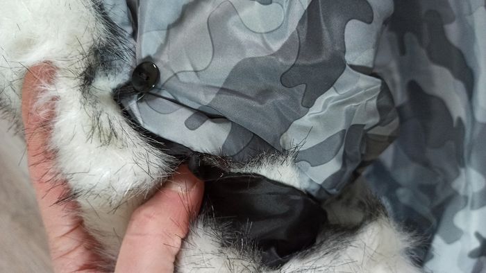 Veste manteau neuf garçon 10 ans - photo numéro 7