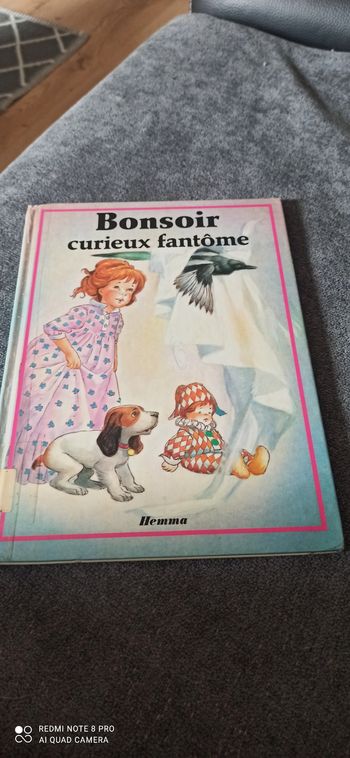 Livre bonsoir curieux fantôme