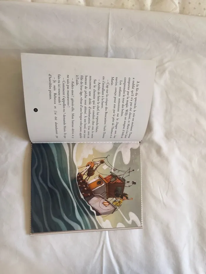 Livre bande de pirates - photo numéro 4