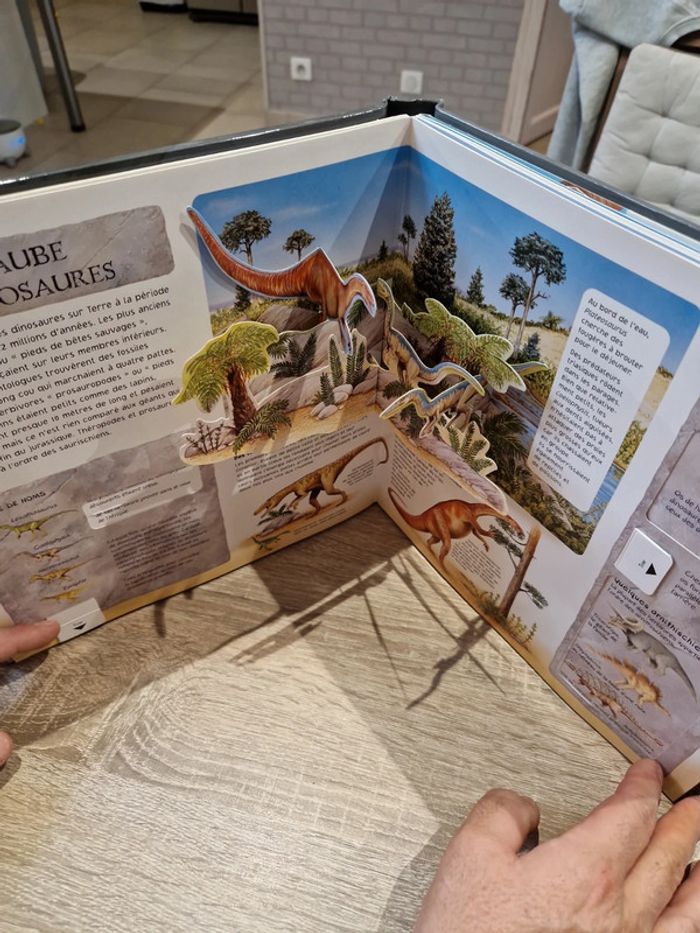 Livre : L'univers animé des dinosaures - photo numéro 6