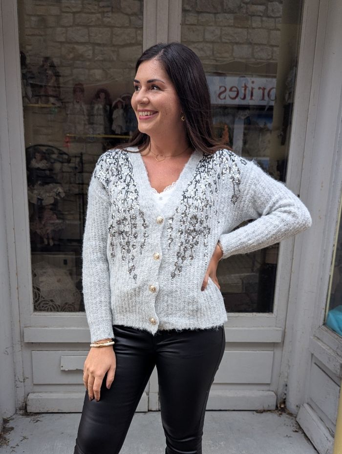 Gilet cardigan La Clusaz gris/argent
Taille unique - photo numéro 3