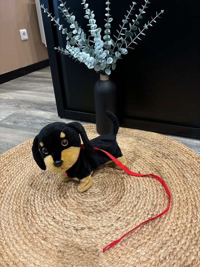 Animagic chien waggles en balade