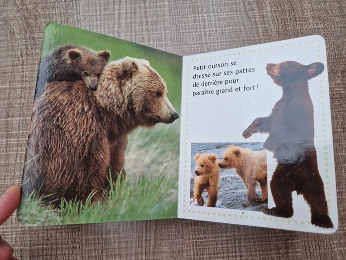 Lot de 3 livres pour bébé en bon état - photo numéro 12