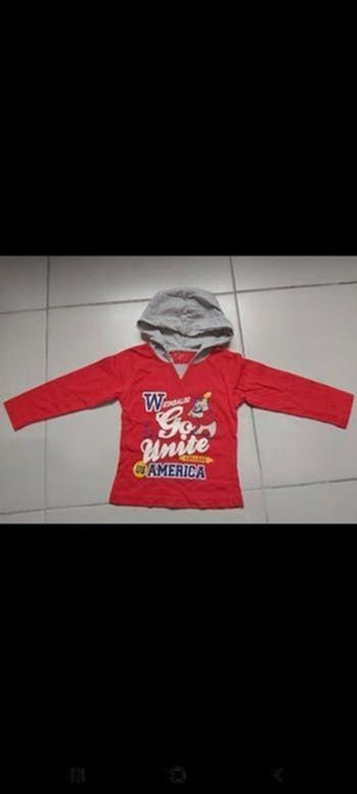 Tshirt à capuche manche longue 24 mois