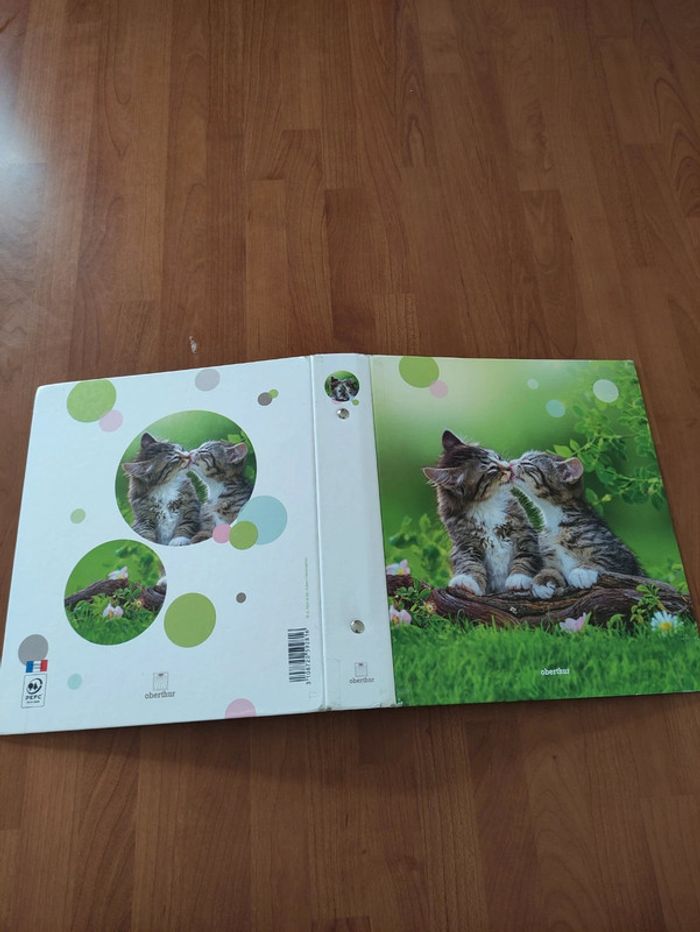 Petit classeur chatons - photo numéro 4