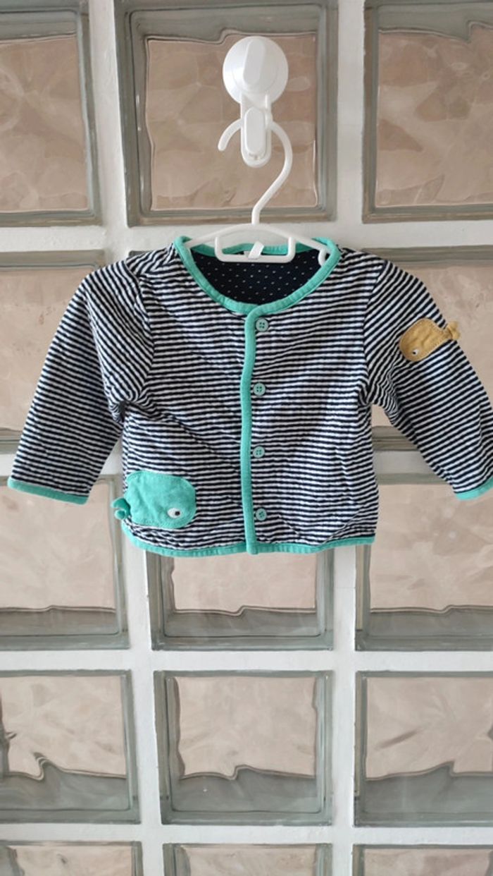 Gilet 9 mois orchestra