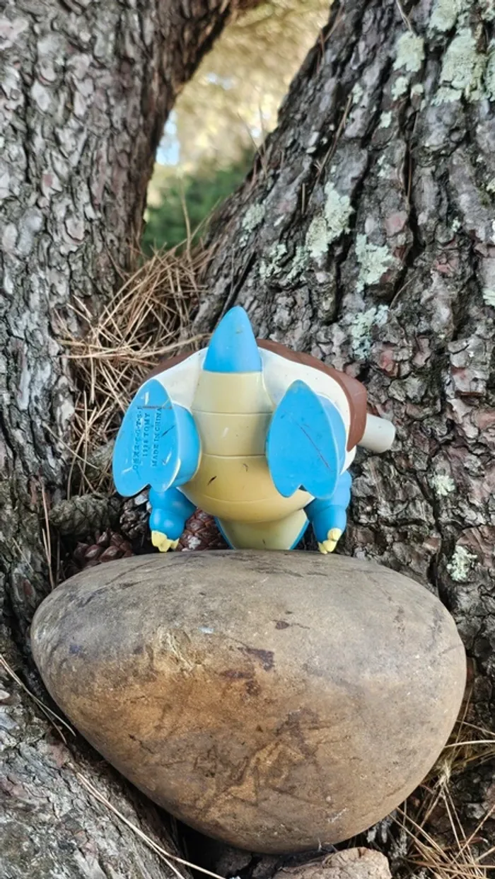 Super grande figurine Pokemon Nintendo tomy C.G.T.S.J Tortank - photo numéro 5