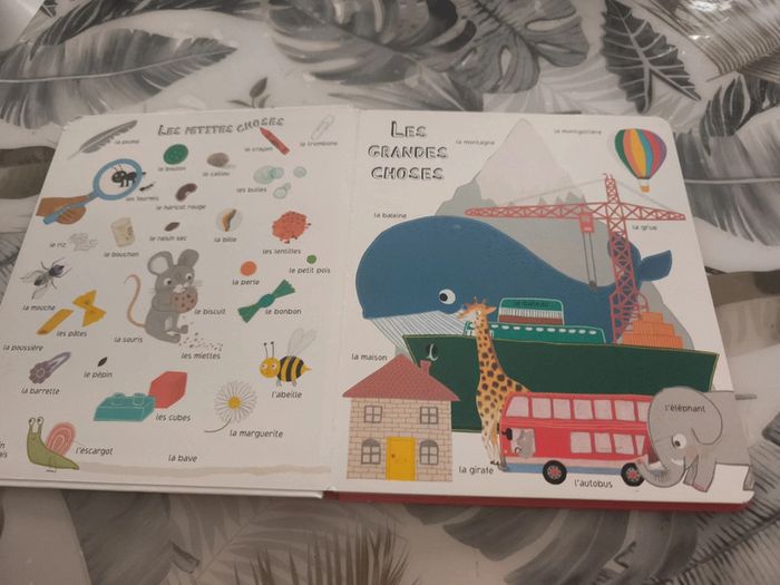 Album le livre des choses - photo numéro 2