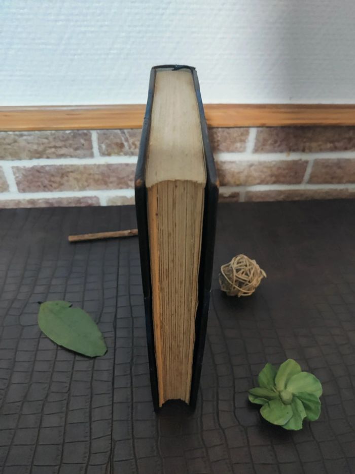 Un amour de Swann - Marcel Proust / Livre ancien 1919 © - photo numéro 5