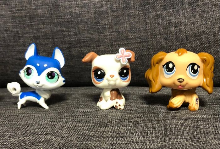 Petshops et accessoires - photo numéro 3
