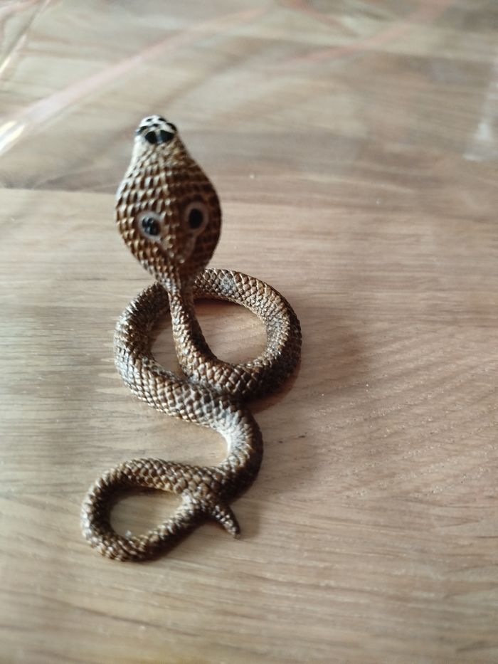 Cobra - photo numéro 5