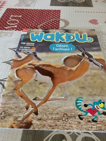 Wakou galope l’antilope
