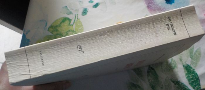 ROUGE BRESIL de Jean-Christophe RUFIN Ed. Gallimard - photo numéro 4