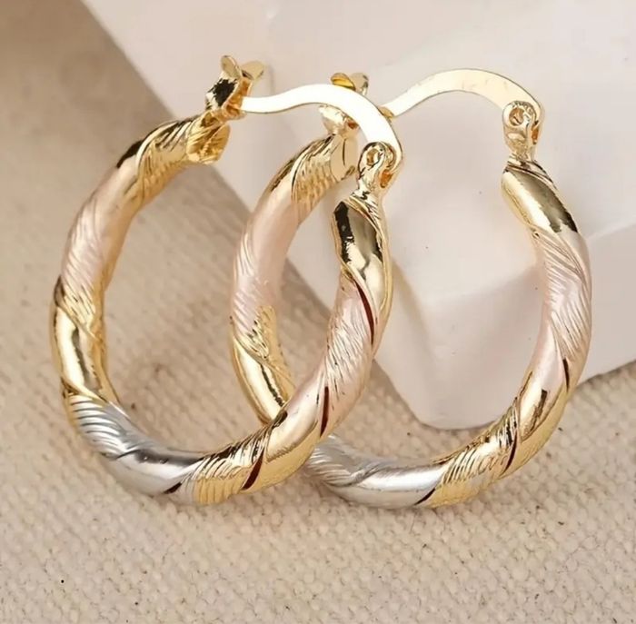 Boucles d'oreilles créoles tricolores en acier inoxydable