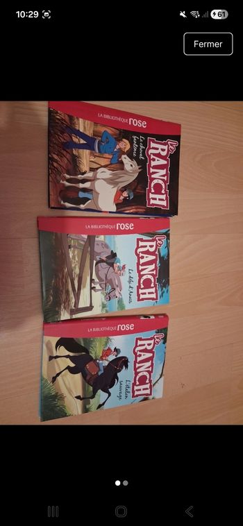 Lot 3 livres ranch