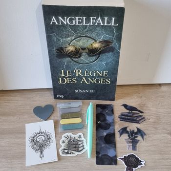 Box Angelfall le règne des anges + Goodies
