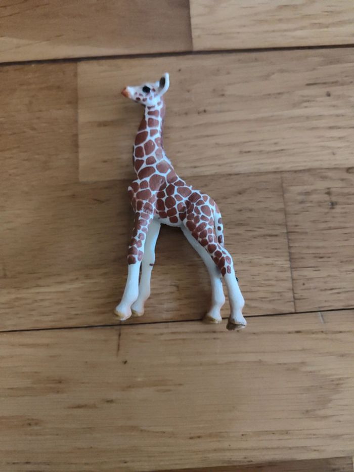 Girafe