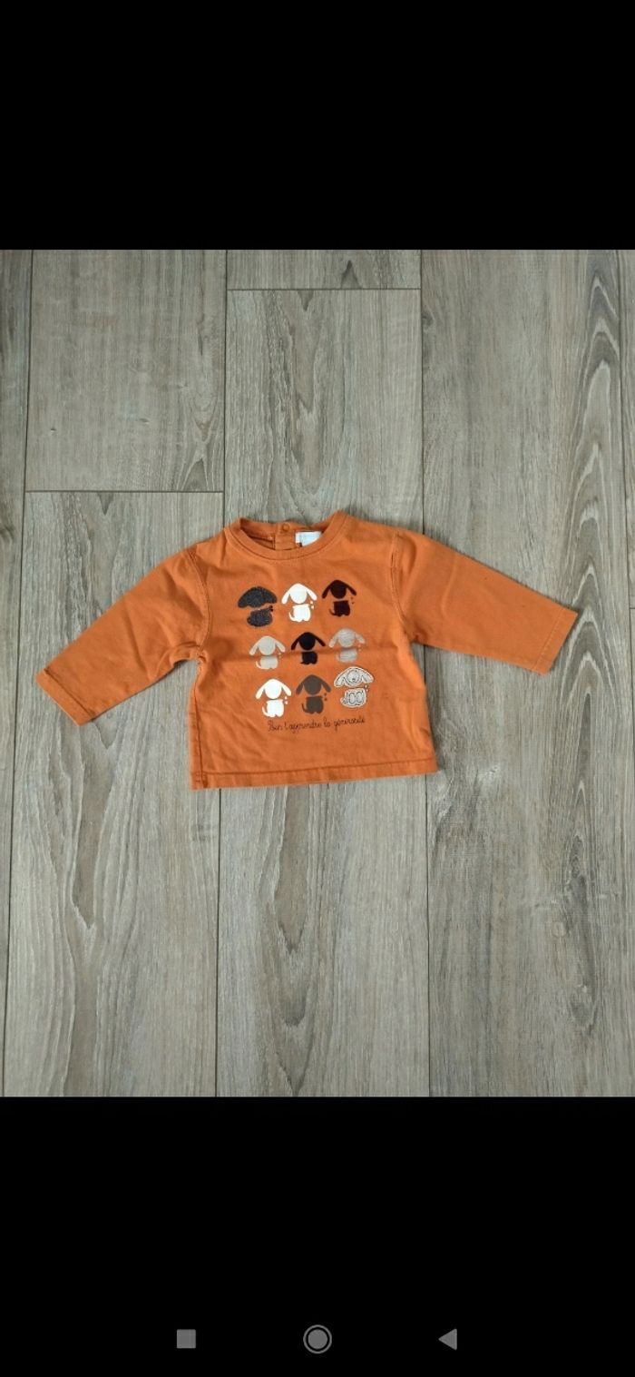 Tee shirts ML 6 mois