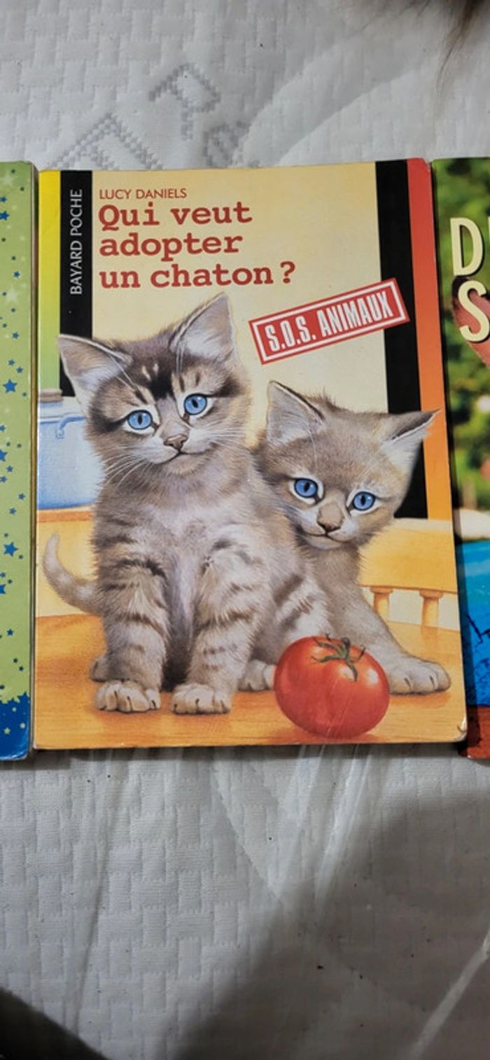 Lot de 3 livres enfants - photo numéro 3