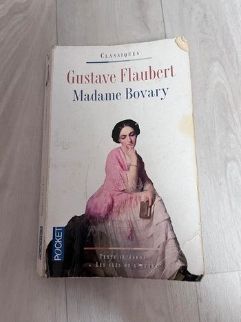 Livre Madame Bovary Gustave Flaubert
