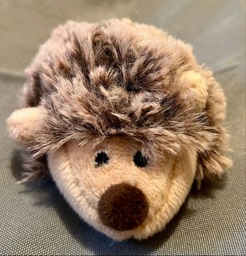 Hérisson en peluche peluche douce - Très bon état
