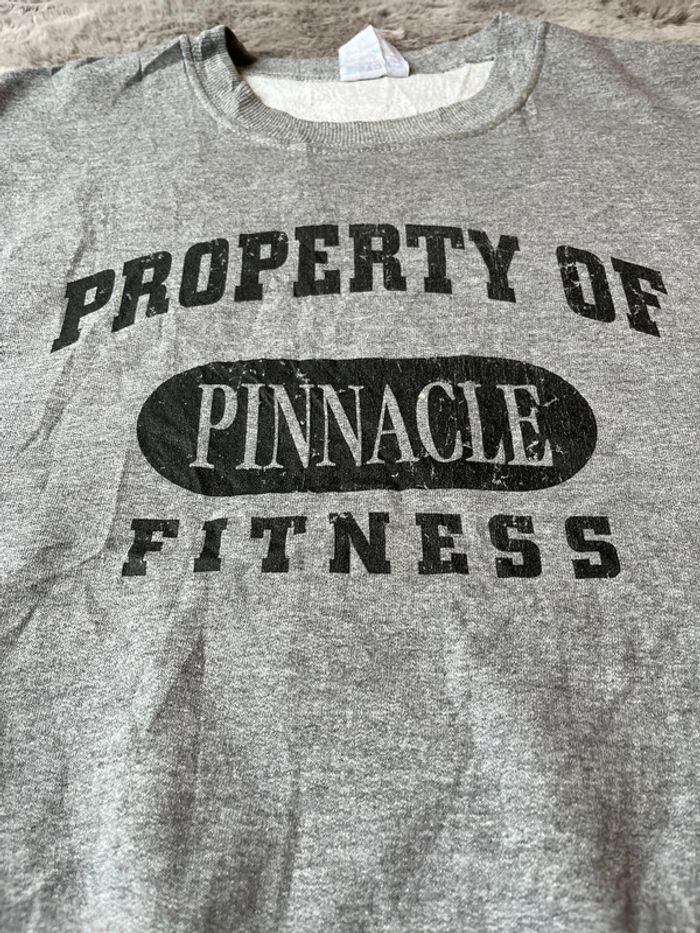 Pull Américain Fitness taille L - photo numéro 3
