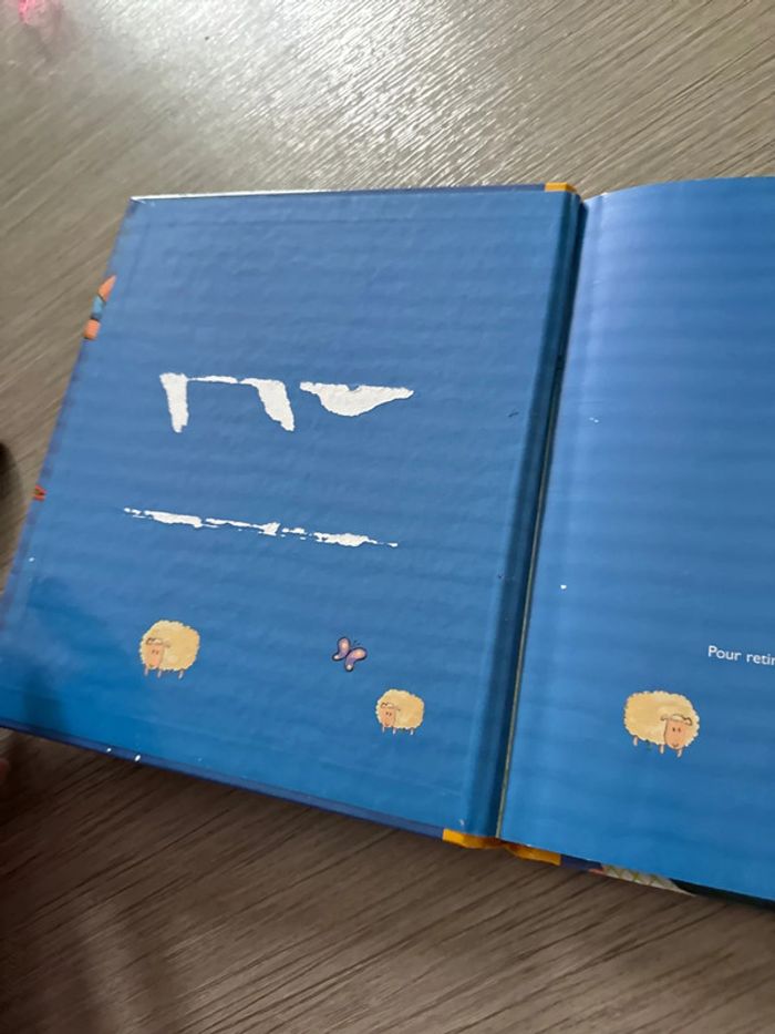 Livre berceuse d’ici et d ailleurs cdmanquant - photo numéro 7