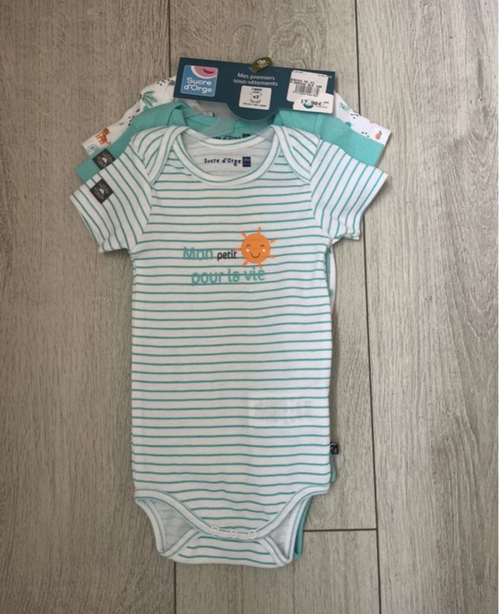 Bodies manches courtes 18 mois